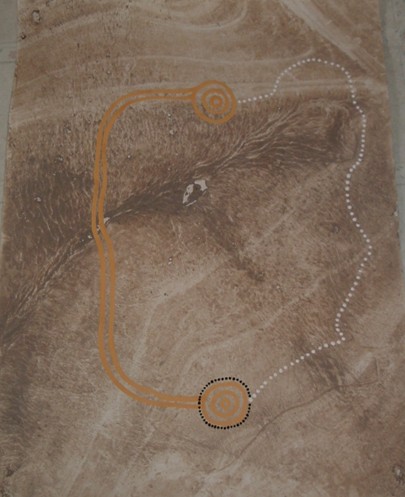 Mud map with Crab trails